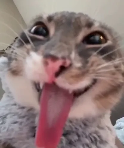 DP